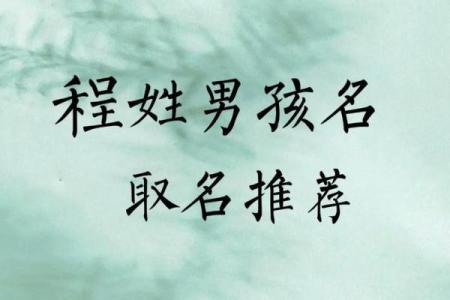 2019年3月28号酉时出生的男孩如何起名姓名